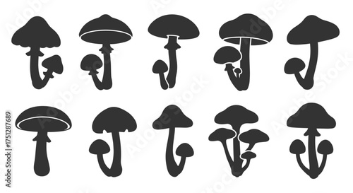Various illustrated mushroom silhouettes on a white background.