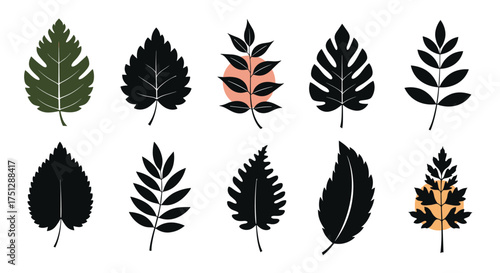 A collection of various patterned leaves in different shades of green and black.