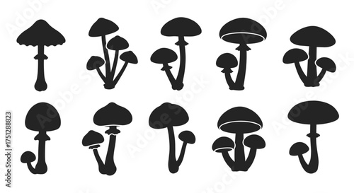 A collection of silhouette illustrations of various mushroom shapes and sizes.