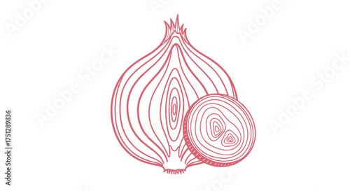 A close up view of a red onion in cross section.