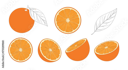 A collection of whole and sliced oranges with leaves.