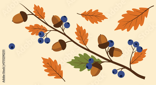 An illustration of oak leaves acorns and blueberries on a branch.