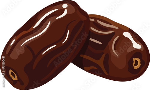 Dates fruit close up vector illustration with natural brown color and glossy texture for healthy food concept 