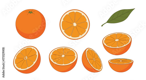 Collection of fresh oranges and citrus fruit slices on a white background.