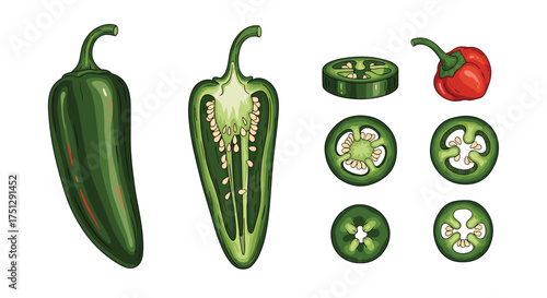 Fresh green jalapeno pepper sliced and whole