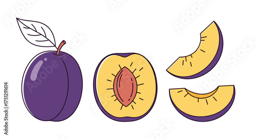 A collection of fresh purple plums whole halved and sliced.