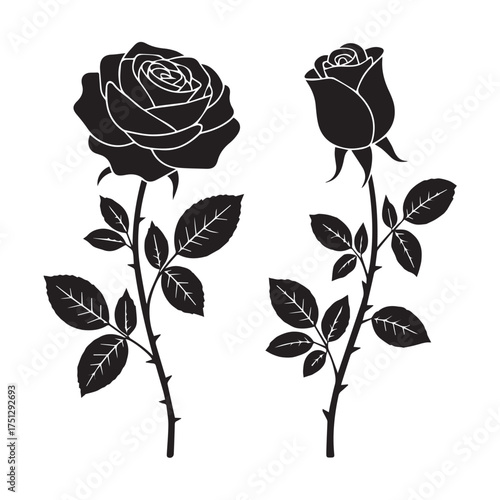 Black and White Rose Flower Silhouettes Vector Set