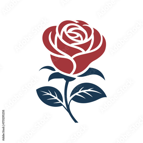 red rose vector illustration