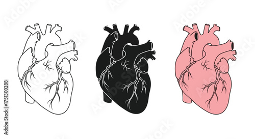 A set of three anatomical human heart illustrations in outline, silhouette, and colored styles on a white background.