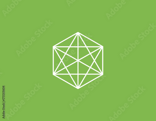 A beautifully constructed geometric shape represented as a wireframe design, embodying technical artistry ideal for architectural, engineering, or abstract design projects.