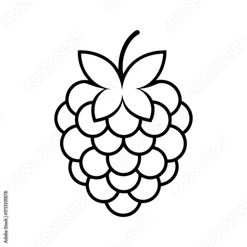 blackberry outline line art vector