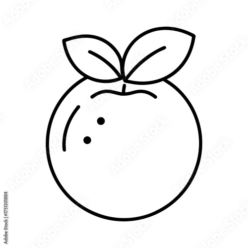 blueberry outline line art vector