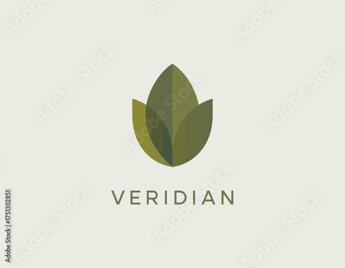 This elegant leaves logo symbolizes growth and sustainability, featuring a clean design that highlights nature's beauty and the importance of environmental responsibility.