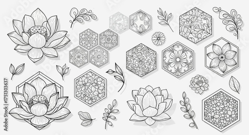 Line art illustrations of flowers and honeycomb patterns  