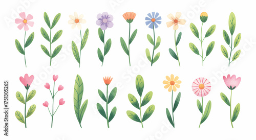 Hand painted blue gaillardia flowers with buds and leaves in soft watercolor style.