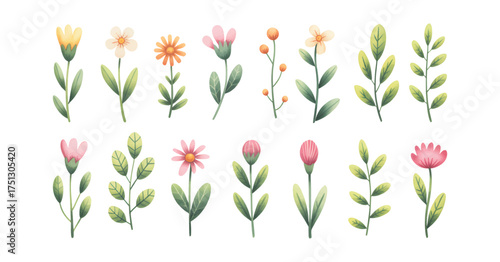 Botanical watercolor floral collection with dainty blossoms and leaves in isolated on white background.