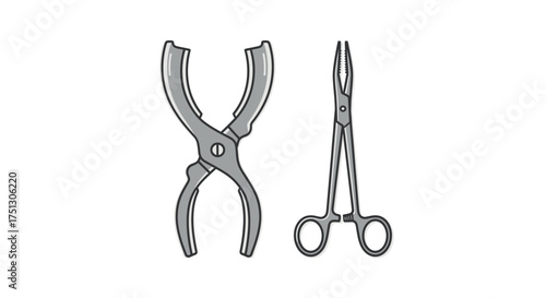 Two Surgical Instruments: Forceps and Tongs.