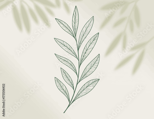 A beautifully illustrated green leaf branch showcasing delicate details, symbolizing nature's beauty and freshness against a soft, gradient background.