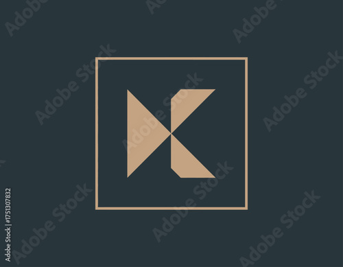 A sleek geometric logo design that features an interplay of shapes and negative space, representing innovation and a forward-thinking approach in modern branding.