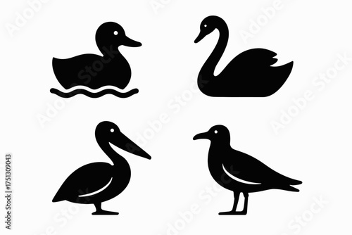 Silhouette icons: duck, swan, pelican, seagull - black and white bird designs