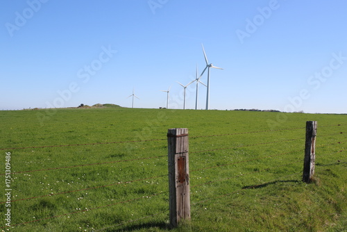Éoliennes Champs Verts Ciel Bleu - Énergie Éolienne