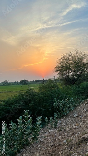 Golden sunset over a lush green field with a lone tree and rocky foreground