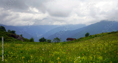 The Black Sea region in eastern Türkiye is famous for its high mountain plateaus, the most popular of which are the Uzungöl and Sultan Murat plateaus.01.08.2025, Trabzon,Türkiye