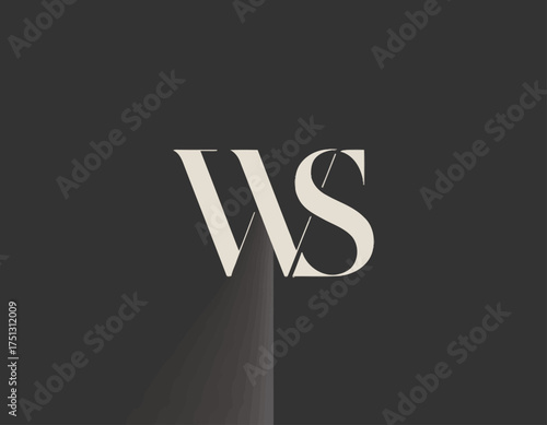 This image features a sophisticated logo design with the letters W and S intertwined, showcasing a modern and clean aesthetic for branding and identity purposes.
