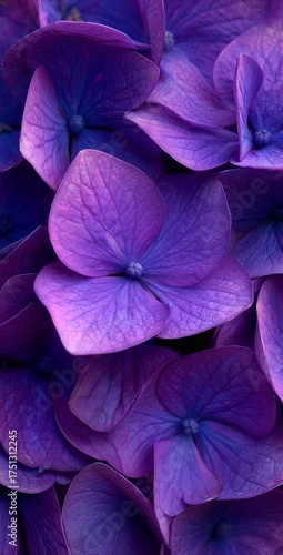 Beautiful Violet Flower Petals Create a Stunning Floral Display in a Garden S...