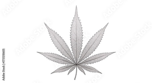 Cannabis Leaf Illustration - A Detailed Botanical Study in Gray.