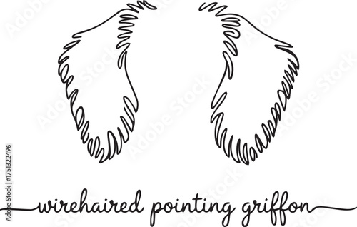 Wirehaired Pointing Griffon Line Art Illustration