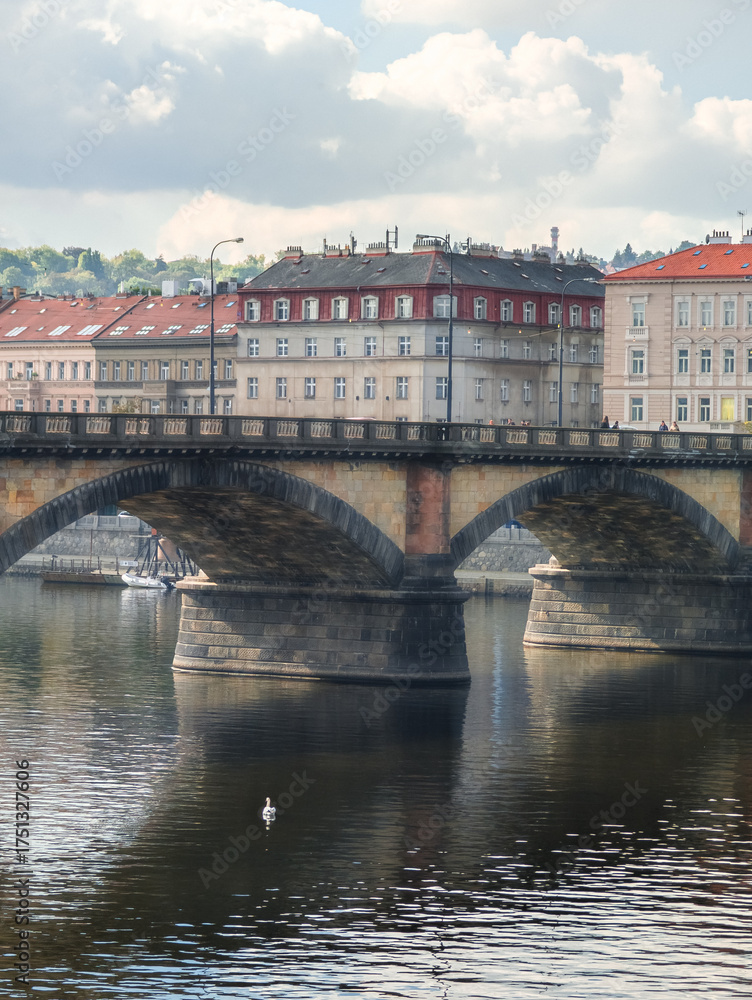 Fototapeta premium Elegant stone bridge with wide arches crossing a river with a white swan swimming in the foreground and classic European buildings in the background.