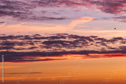 sunset at the beach