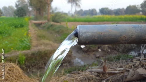 Irrigation water flowing from pipe to field, showcasing sustainable agriculture and vital water resources for farming in rural landscapes with lush green crops