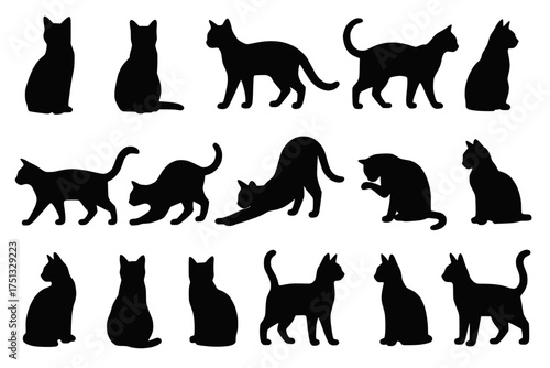 Cat Silhouette Collection in Black on Transparent Background with Diverse Feline Poses