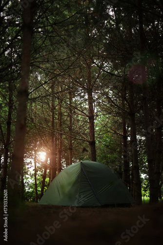 A green tent in the forest	

