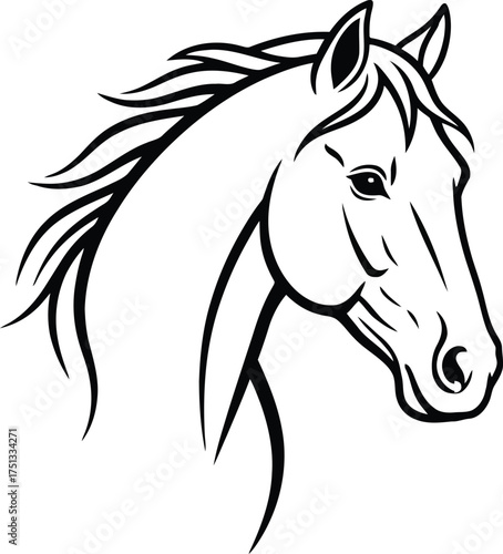Graceful Horse Profile Contour Drawing - Animal Line Art Illustration Graphic Isolated on Transparent Background Equine Outline Artwork Vector Graphics