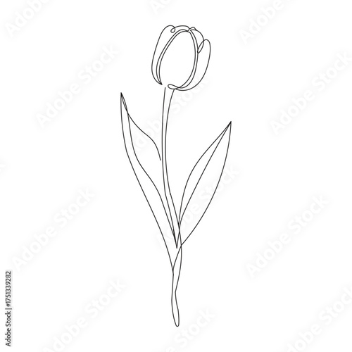 Minimalist single line drawing of a delicate tulip flower with leaves on a white background