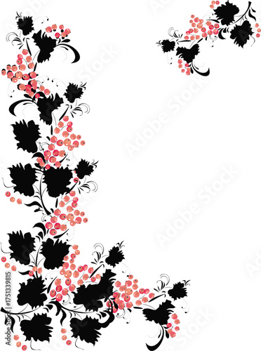 different red and black berries designes isolated on white background