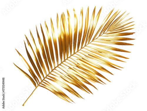 Gilded palm frond shines. Delicate, golden leaf. Isolated on black