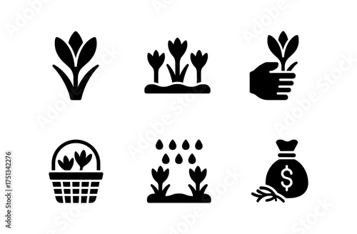 Saffron crocus icon set for design and decor featuring planting harvesting and cultivation elements