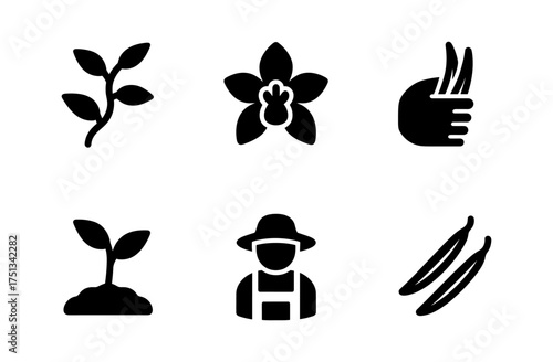 Vanilla cultivation icon set for agricultural design projects and educational resources