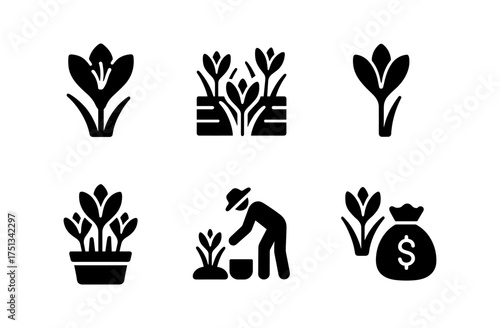 Saffron crocus icons set for garden design and business concepts