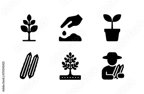 Moringa icons collection for nature-themed designs and agricultural projects