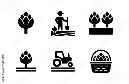 Artichoke cultivation icons set for agricultural design and farming projects