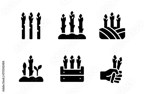 Asparagus icon set for culinary use and design projects