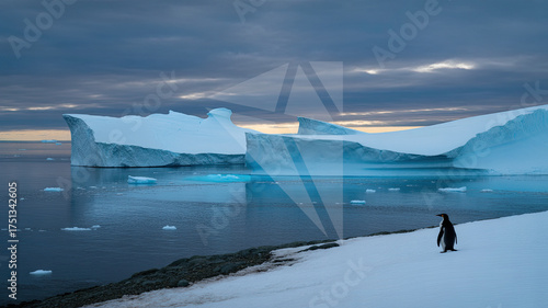Penguin in Antarctic Landscape: A solitary penguin stands on a snow-covered shoreline, gazing upon majestic icebergs in a serene Antarctic landscape, the water mirroring the vast sky above.