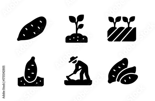 Yam cultivation icons set for agriculture and farming design projects