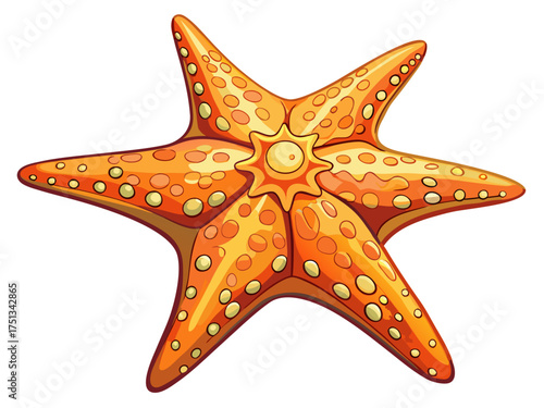 vector of Caribbean starfish isolated on white background.