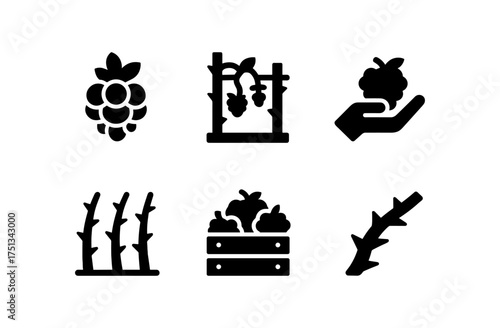 Raspberry field icons collection for farm and agriculture design projects